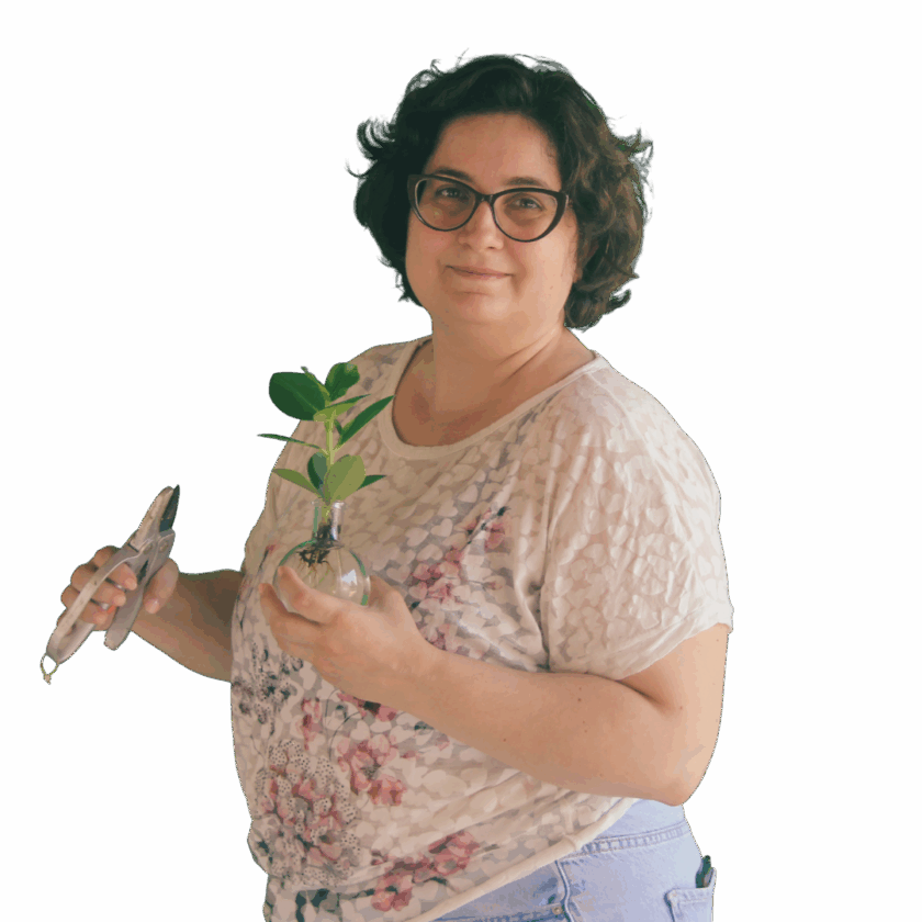 Moro Alice